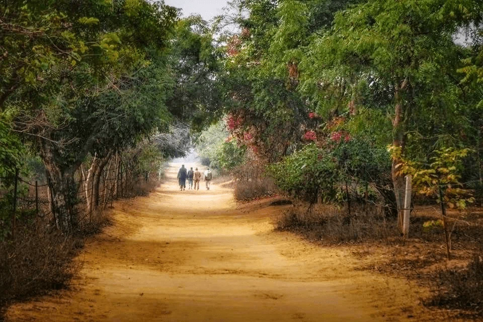 Brajraj Utsav